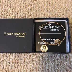 Alex and ani g bangle